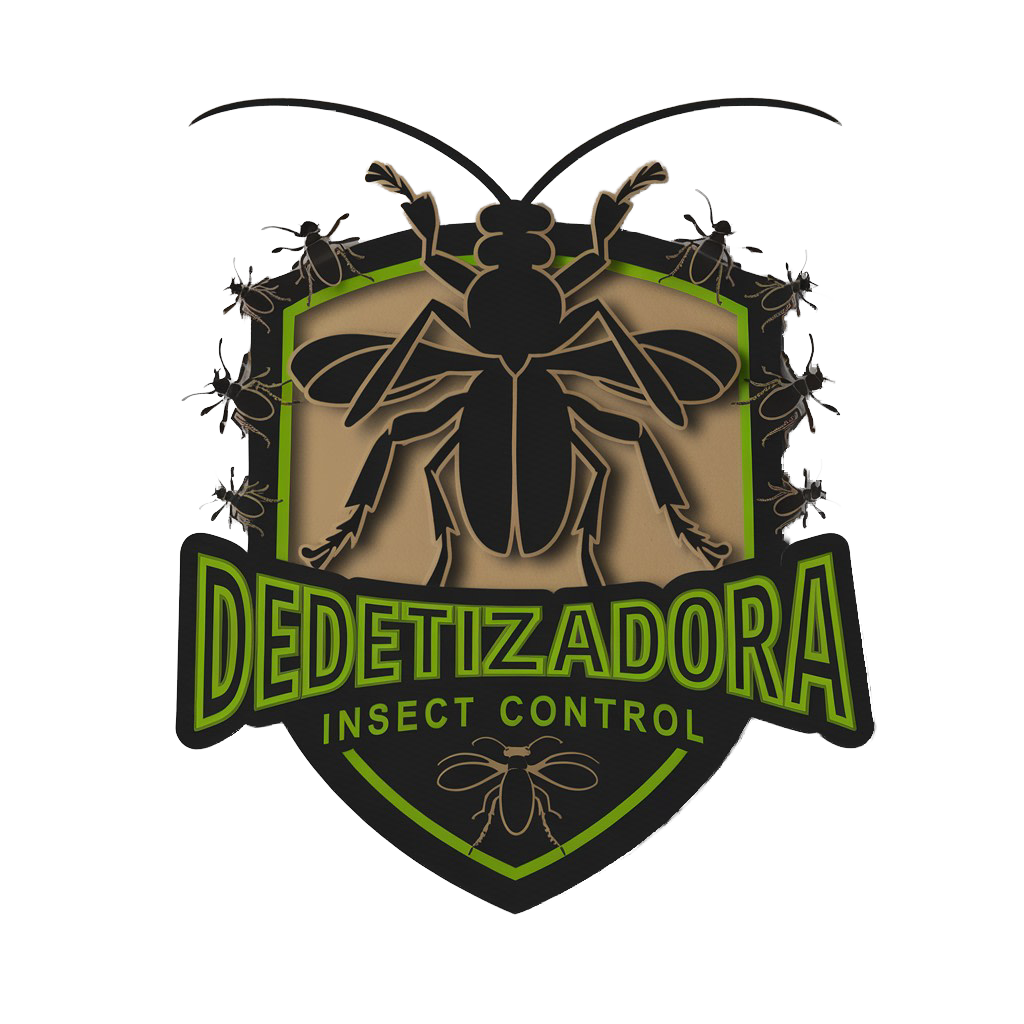 Logo  Dedetizadora Insect Control